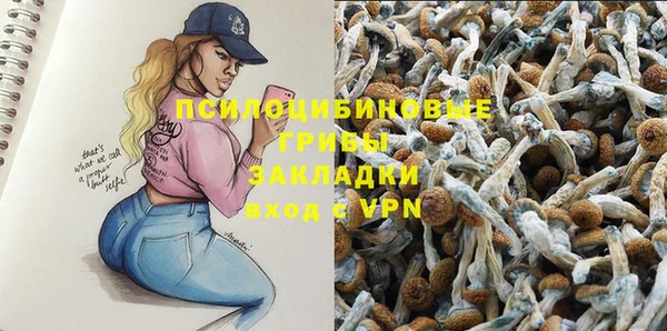 прущий лед Алексин