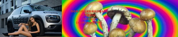 СК Майский