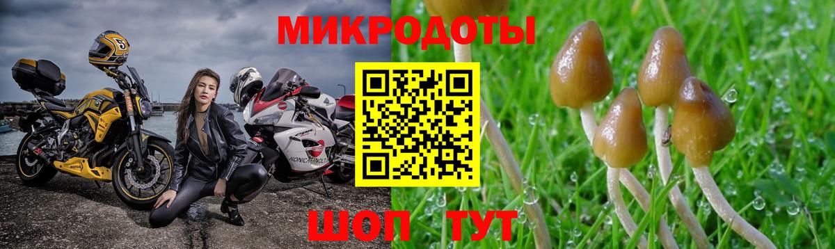 Галлюциногенные грибы Magic Shrooms Пермь